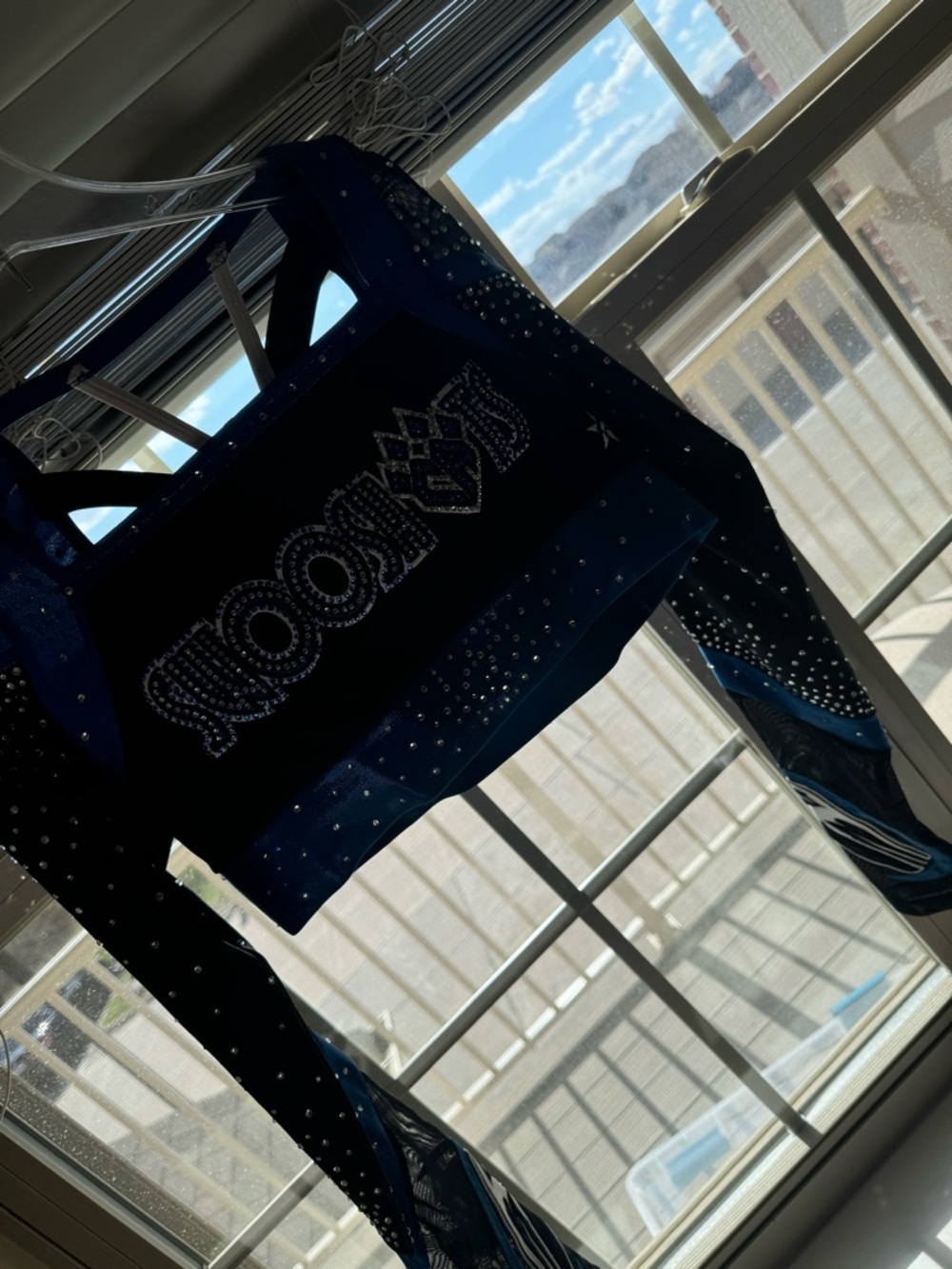 Swooshcats 2017 worlds uniform
Top AM
Bottoms AS